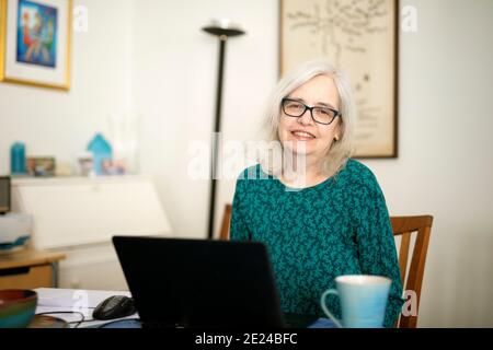 Woman using laptop at home Stock Photo