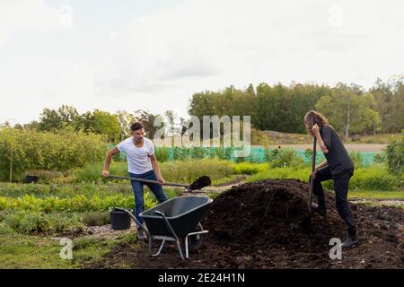 Young couple digging in garden Stock Photo