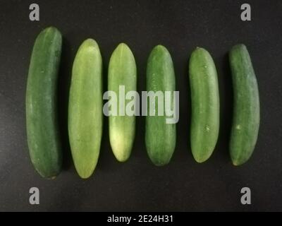 Cucumber is a widely-cultivated creeping vine plant in the Cucurbitaceae gourd family that bears cucumiform fruits Stock Photo