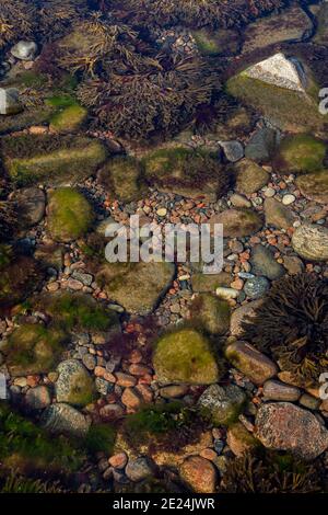 Rocks seen through water Stock Photo