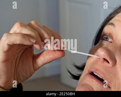 Middle aged woman (Dr Jayne Smith) using Covid-19 home testing kit, Holt, Norfolk, January 2021 Stock Photo