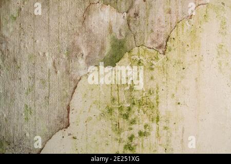 Old wall grunge background or texture Stock Photo