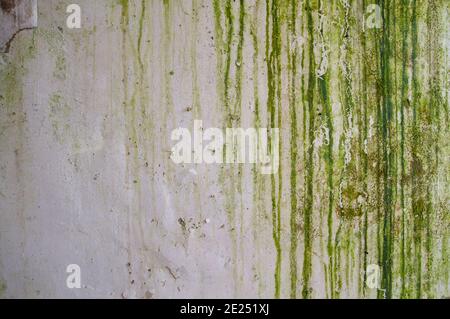 Old wall grunge background or texture Stock Photo