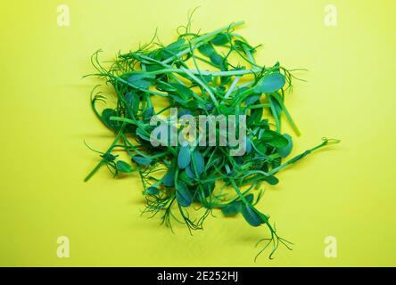 sprouts of microgreen peas on a white background. Selective focus. Stock Photo