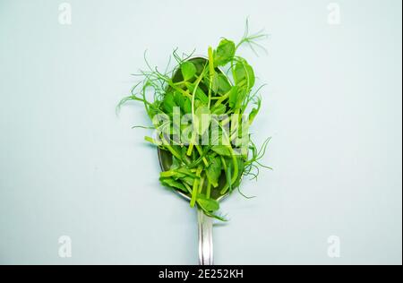 sprouts of microgreen peas on a white background. Selective focus. Stock Photo