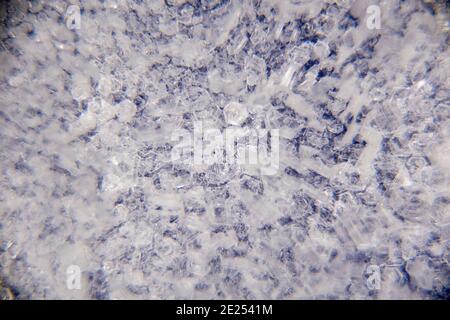 Macro close up of ice crystals on a blue background. 3d visual depth. Color abstract grunge background. Colorful small squares. Futuristic backdrop, modern banner, stylish wallpaper. Design pattern shape. High quality photo Stock Photo