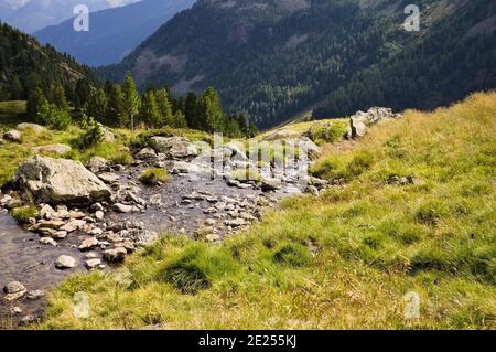 A brook in a meadow on a mountain in the Italian Alps (Trentino, Italy, Europe) Stock Photo