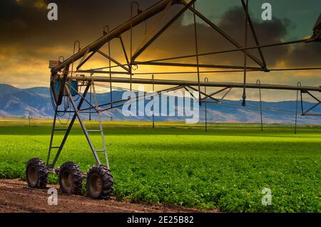 Landscape of western circular sprinkler on a greenfield with a sunset background Stock Photo