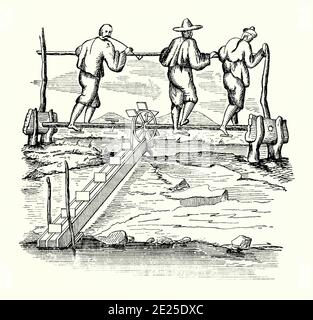 An old engraving of three men powering a Chinese chain-pump, a type of horizontal treadwheel working to raise water from a river for irrigation purposes. It is from a Victorian mechanical engineering book of the 1880s. To generate the power needed, here the workers use their feet on paddles or platforms on the rotating log they stand on. The moving paddles or disks are fixed on a ‘belt’ on the chain pump – these ‘push’ the water in the submerged, hollow tube or pipe to the upper end of the tube where it is discharged.