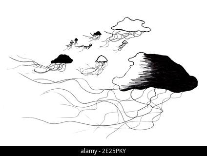 Cape Town, South Africa - 13-08-2019 Ink style Illustration. Jellyfish of black and white. Stock Photo