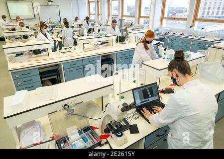 technicians working in lab wearing masks Stock Photo