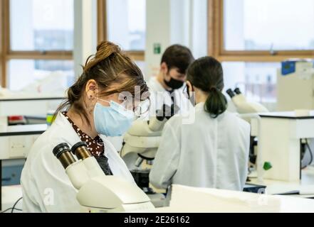technicians working in lab wearing masks Stock Photo