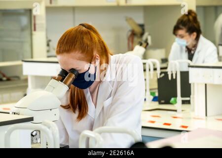 technicians working in lab wearing masks Stock Photo