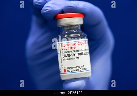12 January 2021, Saxony-Anhalt, Halle (Saale): A nurse holds a vial of Moderna's Covid 19 vaccine at the University Hospital in Halle/Saale (UKH). For the first time, Moderna's new vaccine is being used to vaccinate hospital staff. Photo: Hendrik Schmidt/dpa-Zentralbild/dpa Stock Photo