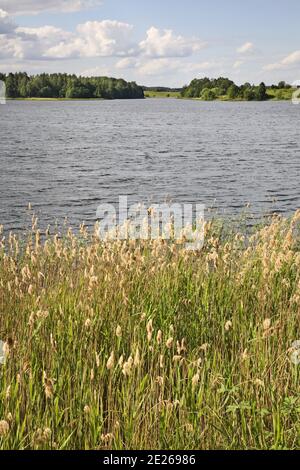 Serdovo lake. Vitebsk region. Belarus Stock Photo