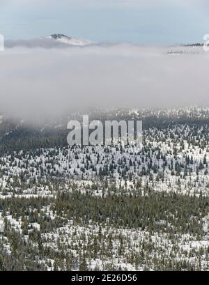 View of Mount Rachel.  Winter at Mount Lusen in National Park Bavarian Forest (Bayerischer Wald), Europe, Central Europe, Germany, Bavaria Stock Photo