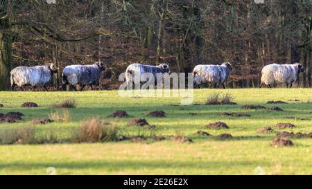 Long line hi-res stock photography and images - Alamy