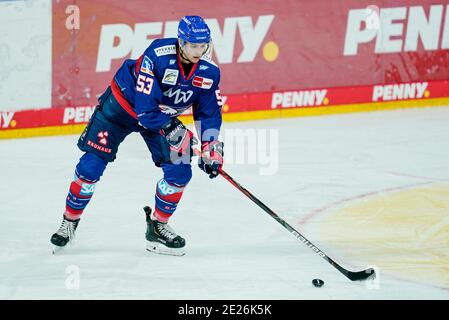 Mannheim, Germany. 12th Jan, 2021. Ice hockey: DEL, Adler Mannheim ...