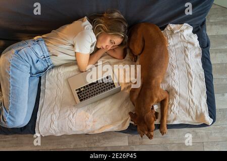 Woman resting lying on couch working on laptop with lovely Vizsla dog at home top view. Lazy pastime Stock Photo