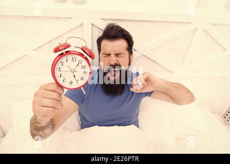 Health benefits of rising early. Waking up early gives more time. Hipster bearded man in bed with alarm clock. Time to wake up. Healthy habits. Beginning of awesome day. Wake up early every morning. Stock Photo