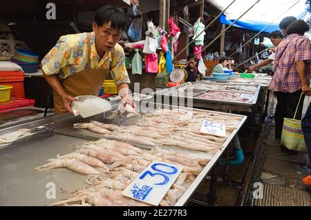 Samut Songkhram, Thailand - June, 2015: Man holding squid in hand. Seller selling squids on the fish market on the street. Stock Photo