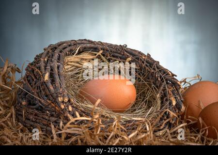 Fresh chicken eggs in a nest on a dark background Stock Photo