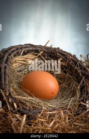 Fresh chicken eggs in a nest on a dark background Stock Photo