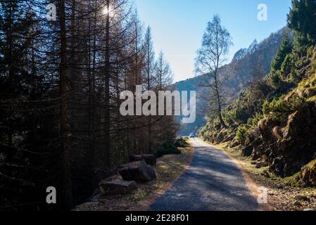 Mountain road passing through a forest. The sun is hiding behind the trees Stock Photo