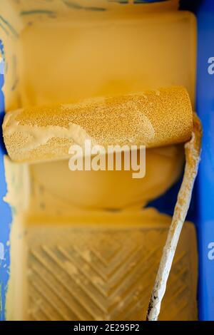 Painting roll with yellow paint in a paint tray. High angle view. Selective focus Stock Photo