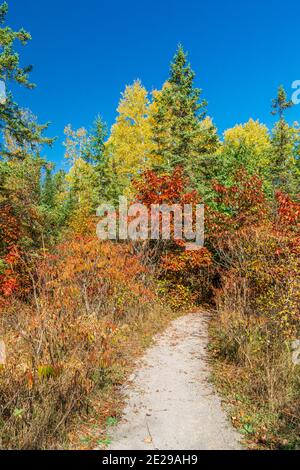 Bonnechere Falls Provincial Park Renfrew Ontario Canada in autumn Stock ...