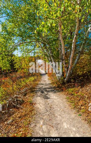 Bonnechere Falls Provincial Park Renfrew Ontario Canada in autumn Stock ...