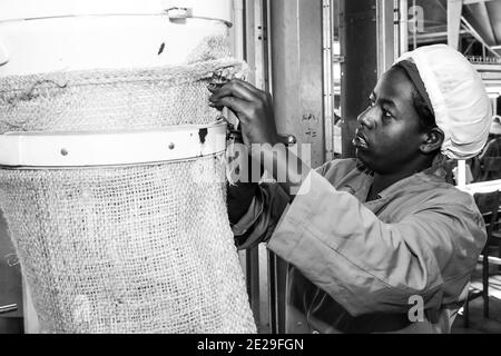 ADDIS ABABA, ETHIOPIA - Jan 05, 2021: Addis Ababa, Ethiopia - January 30 2014: Raw Coffee Bean sorting and processing in a factory Stock Photo