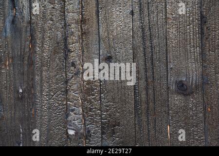 burnt wood texture seamless