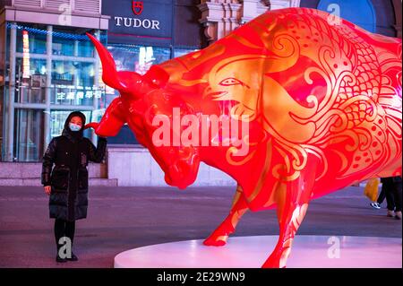 Shenyang, Shenyang, China. 13th Jan, 2021. Liaoning, CHINA-More than 10 painted oxen are displayed on a pedestrian street in Shenyang, Liaoning province, Jan 11, 2021, to welcome the Lunar New Year of the Ox.The ''Painted Cow'' is led by a huge red bull, followed by more than 10 ''Painted Cow'' with different themes such as the Shenyang Imperial Palace, blue and white porcelain, traditional New Year pictures, auspicious clouds and lucky characters, adding a festive atmosphere to the streets of Shenyang. Credit: SIPA Asia/ZUMA Wire/Alamy Live News Stock Photo