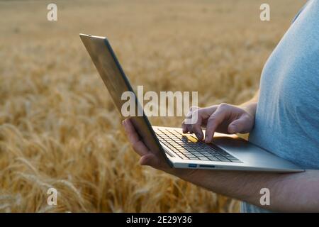 Farmer counts profits on a computer. Implementation of modern technologies in the agricultural industry Stock Photo