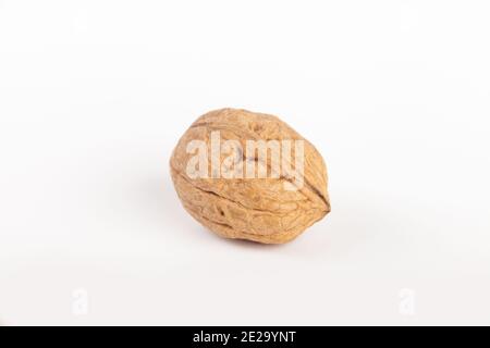 A single whole walnut on a white background. Stock Photo