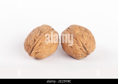 Two walnuts side by side on a white background. Stock Photo