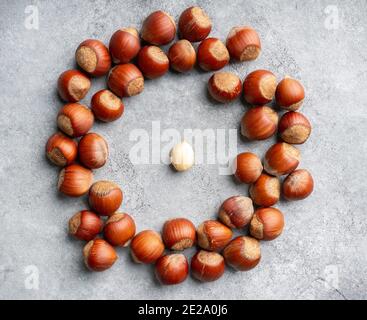 Hazelnuts peeled and in shell on gray background. Background and textures. Stock Photo