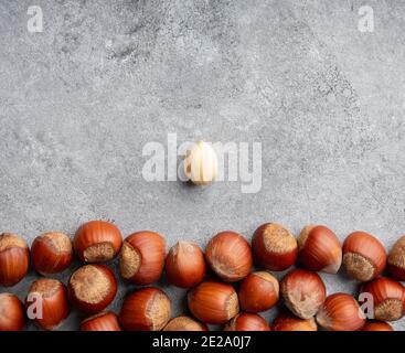 Hazelnuts peeled and in shell on gray background. Background and textures. Stock Photo