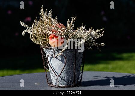 Container with apple in close-up Stock Photo