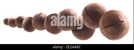 Unpeeled macadamia nuts levitate on a white background Stock Photo