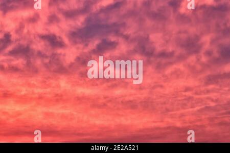 Evening sky with bright pink clouds at sunset.  Stock Photo