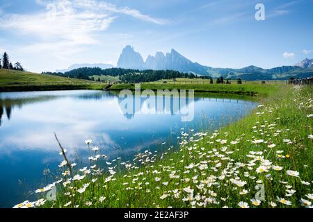 Idyllic panorama view of scenic mountain landscape in the Alps with blooming flowers and rugged peaks reflecting in alpine lake in springtime Stock Photo