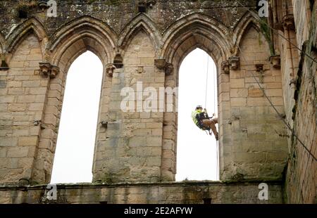 Stonemason James Preston from SSH Conservation, abseils from Rievaulx Abbey in North Yorkshire as English Heritage prepares to carry out vital conservation work. English Heritage commissions a survey at Rievaulx Abbey on a five year cycle to assess the condition of the abbey from ground level right to the top of the structure. Stock Photo