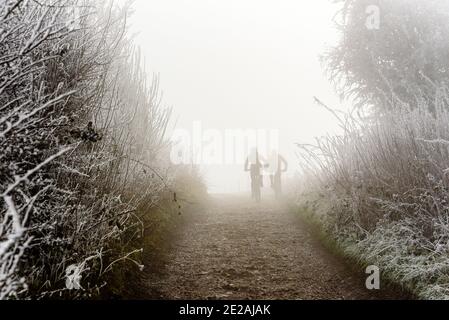 Two cyclists pass trees covered in hoar frost in the fog on the South Downs Way near Chanctonbury Ring in Sussex Stock Photo
