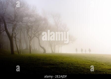 Walkers in fog on the South Downs Way near Chanctonbury Ring in Sussex Stock Photo