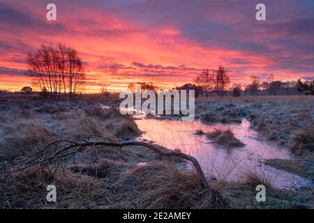 Sunrise at Strensall Common Nature Reserve in mid-winter, North Yorkshire, England. Stock Photo