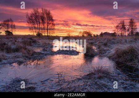 Sunrise at Strensall Common Nature Reserve in mid-winter, North Yorkshire, England. Stock Photo