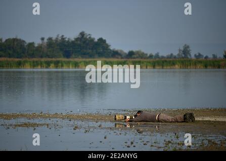 Wildlife photographer with telephoto camera lying down to photograph birds on a lake. Stock Photo