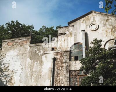 Old abandoned building with fallen off plaster and dry ivy on wall against the background of blue sky and green trees Stock Photo